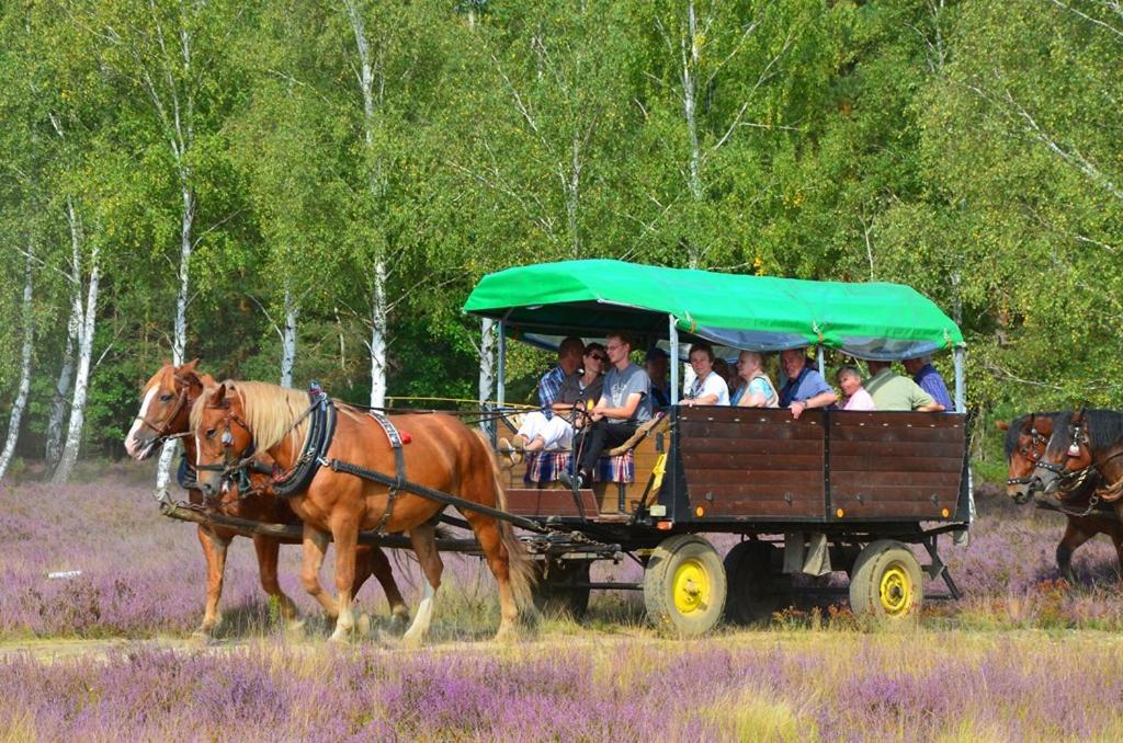 Отель Parkschloesschen Maasdorf  Экстерьер фото